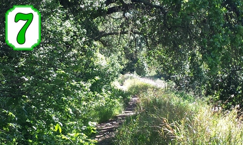 Napa County Historical Society