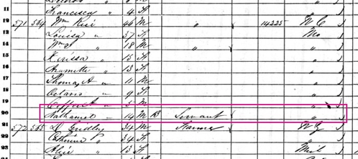 1860 federal census, Nathaniel Rice