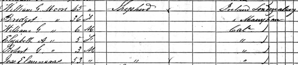 1860 Federal Census for Napa County