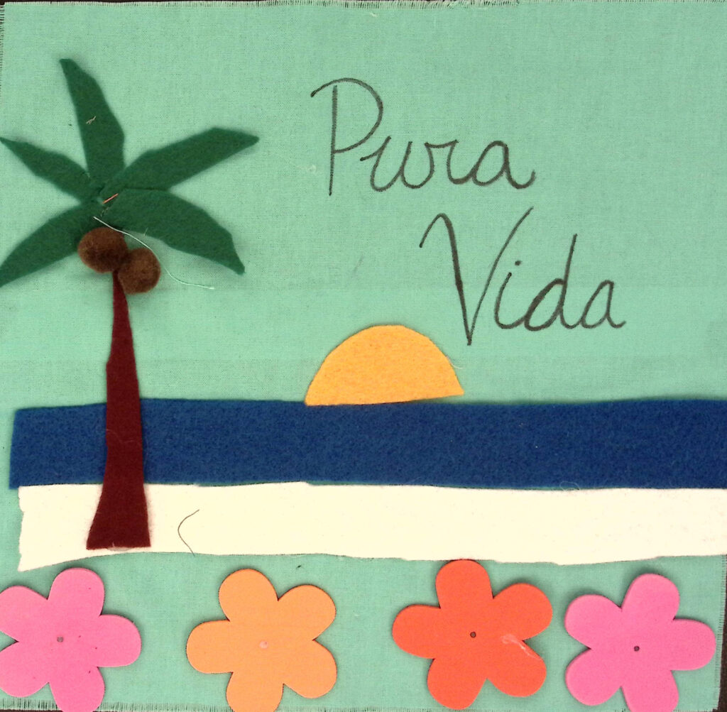 A coconut tree on a white beach, orange and pink flowers in the foreground. Blue ocean in the background with the sun rising or setting and the words "Pura Vida"