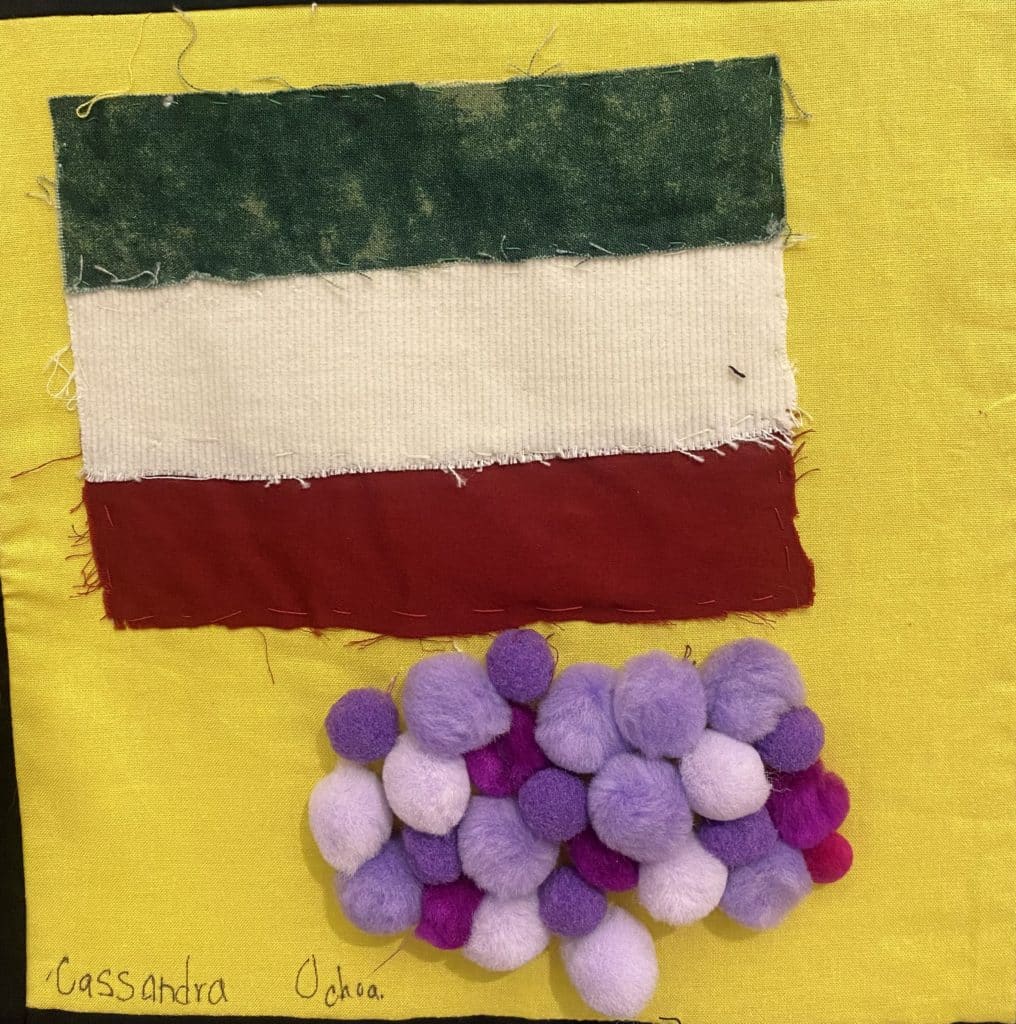 A yellow square with a Mexican flag and grapes made of pom poms