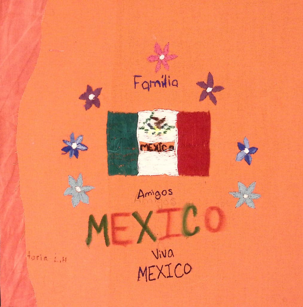 An orange background with the Mexican flag, and the words "familia," "amigos," and "viva Mexico."