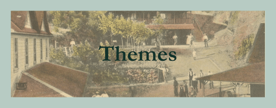 Themes