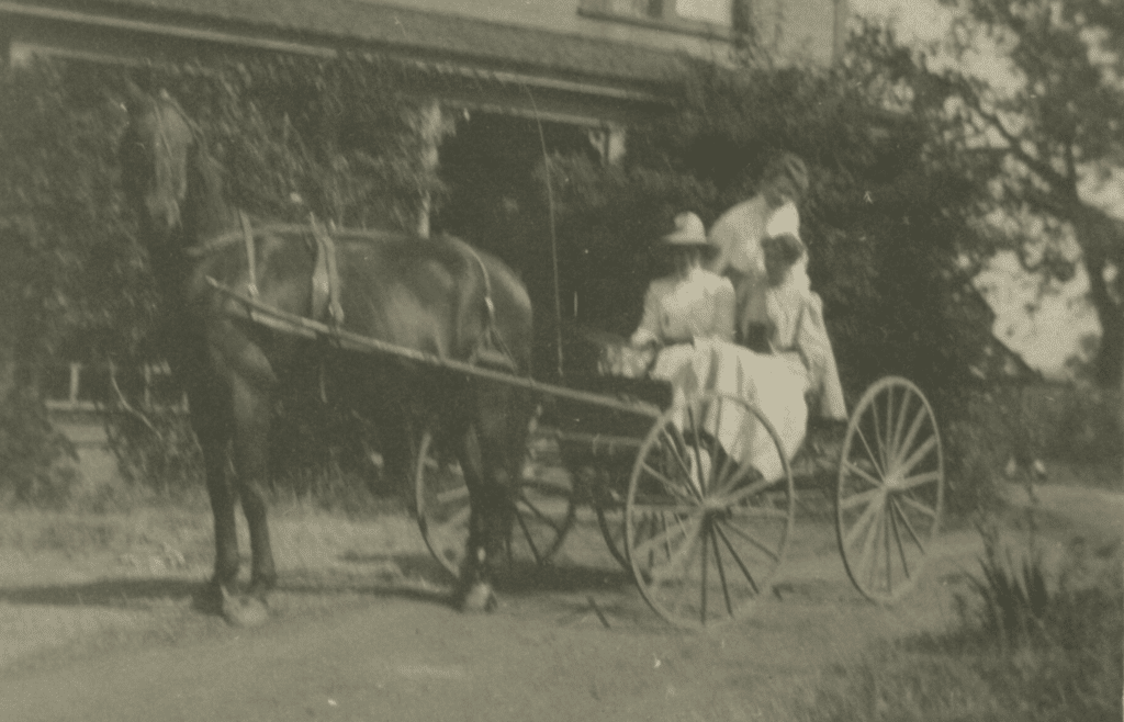 Three people sitting in a horse-drawn buggy.