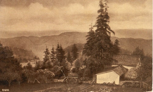 The view from White Cottages Resort, showing a cabin, redwoods, and mountains in the distance.