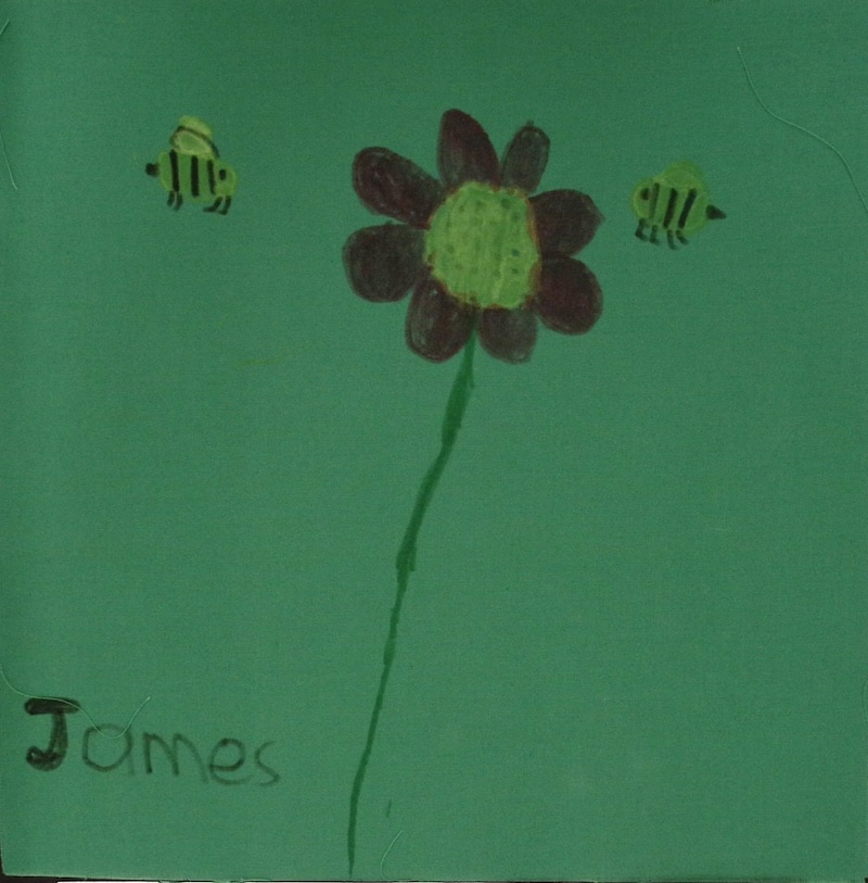 A green square with a flower, "James"